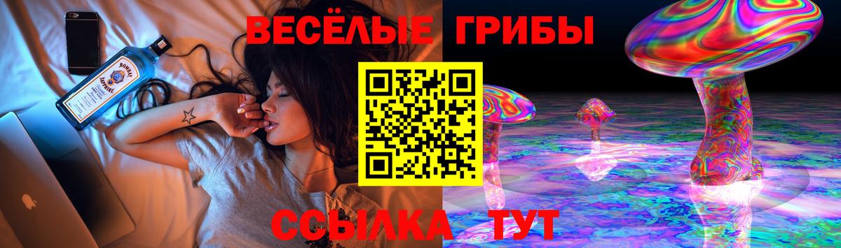 Псилоцибиновые грибы Cubensis Семёнов